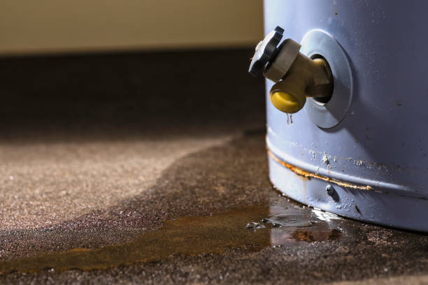 Best Water damage restoration near me  in Sage, CA