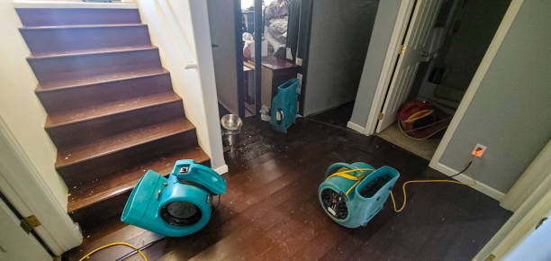 Best Local water damage restoration  in Sage, CA