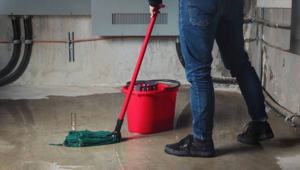 Best Ceiling water damage repair  in Sage, CA