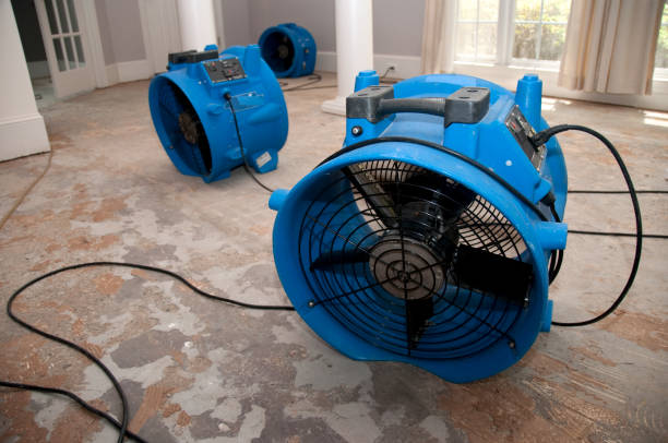 Best Flood restoration services  in Sage, CA