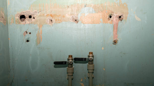 Best Mold removal after water damage  in Sage, CA