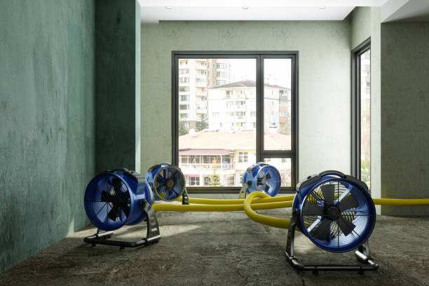  Sage, CA Water damage restoration Pros