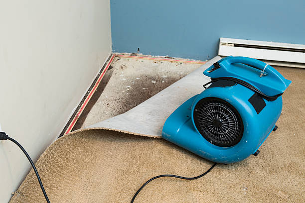 Professional Water damage restoration in Sage, CA